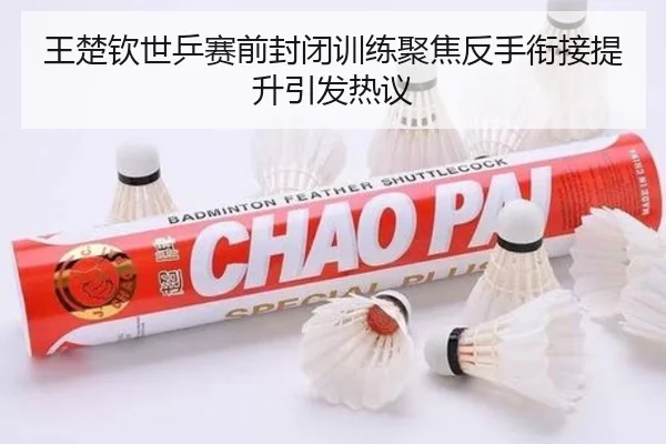 王楚钦世乒赛前封闭训练聚焦反手衔接提升引发热议