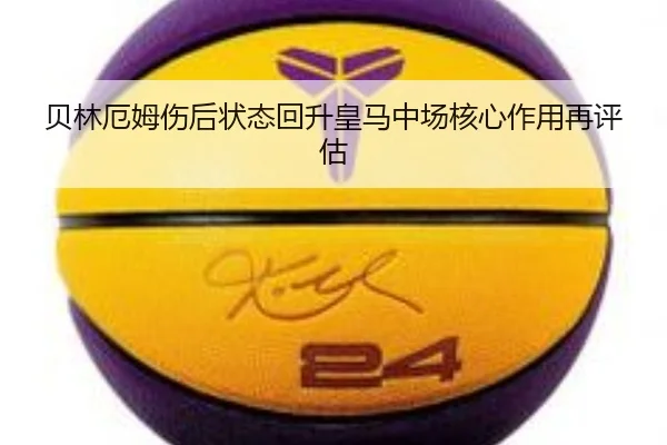 img_1787673345314_4460_0_979.jpg
